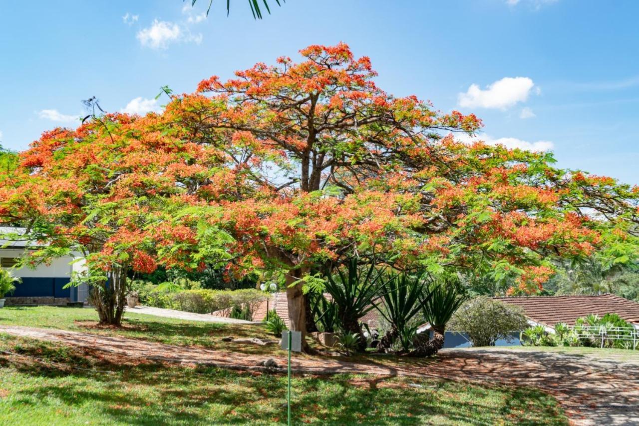 Villa Do Sossego Pousada Lindóia Dış mekan fotoğraf